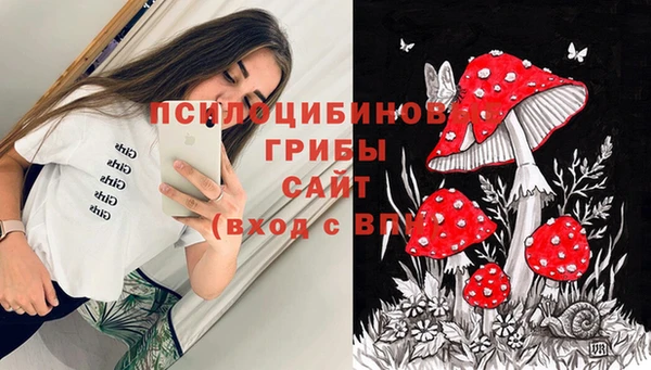 дурь Алексеевка