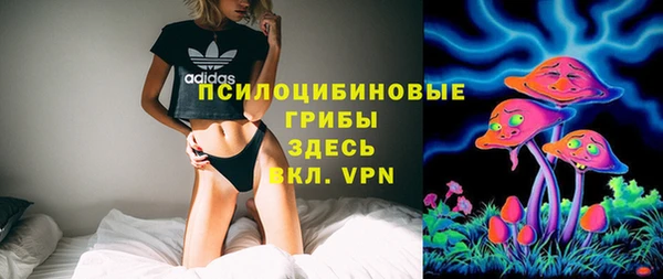 spice Алзамай