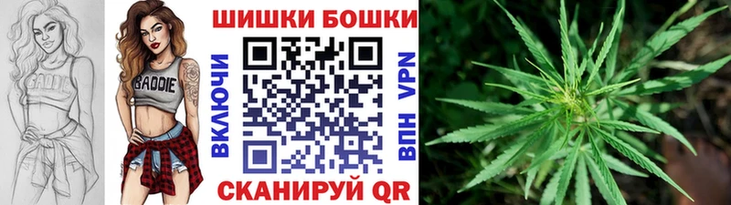 Бошки марихуана Bruce Banner  Бокситогорск 
